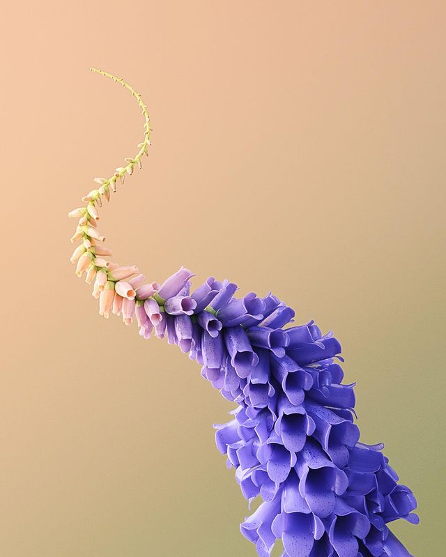 Procedural Art Generative Design